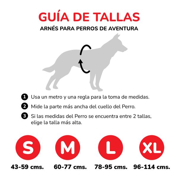 Collar-para-Mascota-101-Dalmatas