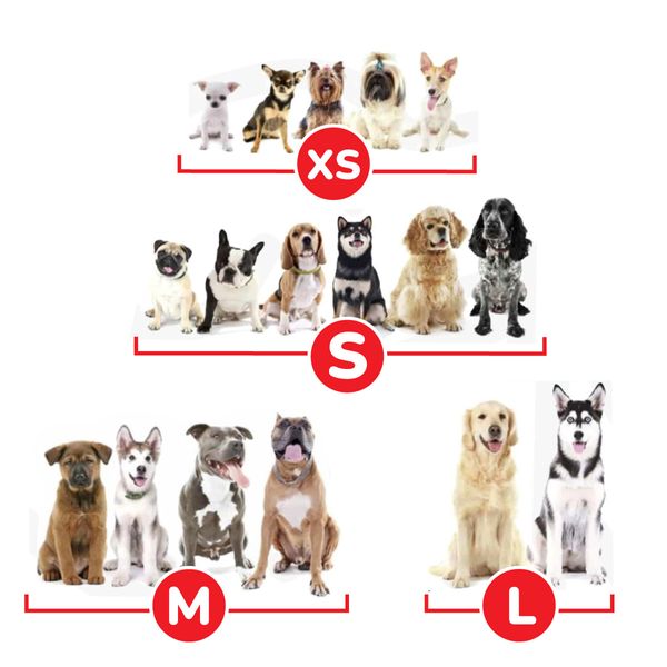 Plato-Sencillo-para-Mascota-Mickey-Mouse