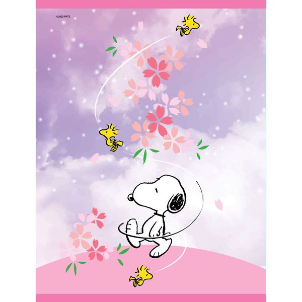 contenido-cuaderno-cosido-teen-peanuts-2