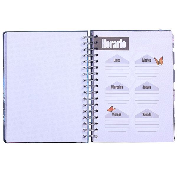 contenido-planeador-morat-4
