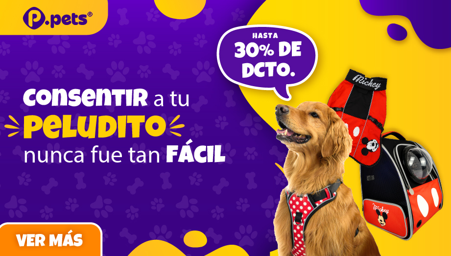 Mascotas Primavera - Movil